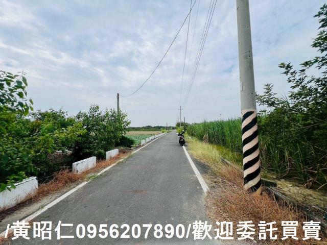 台南善化農地-8