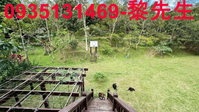 新竹關西農地-6