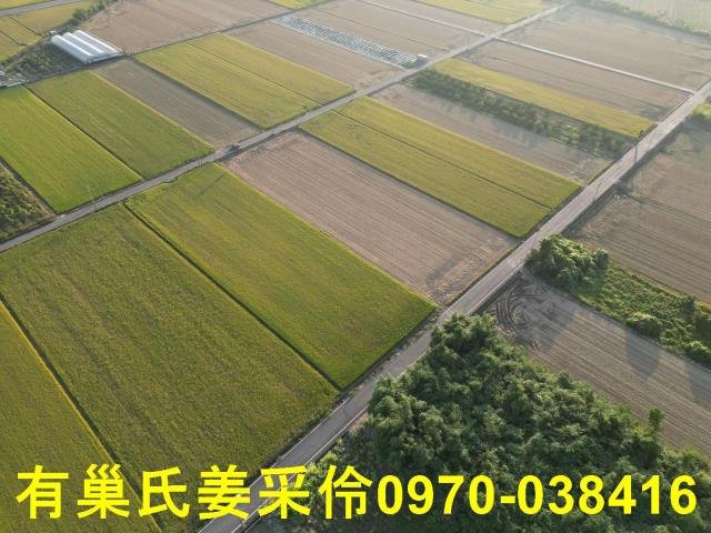 嘉義民雄農地-8