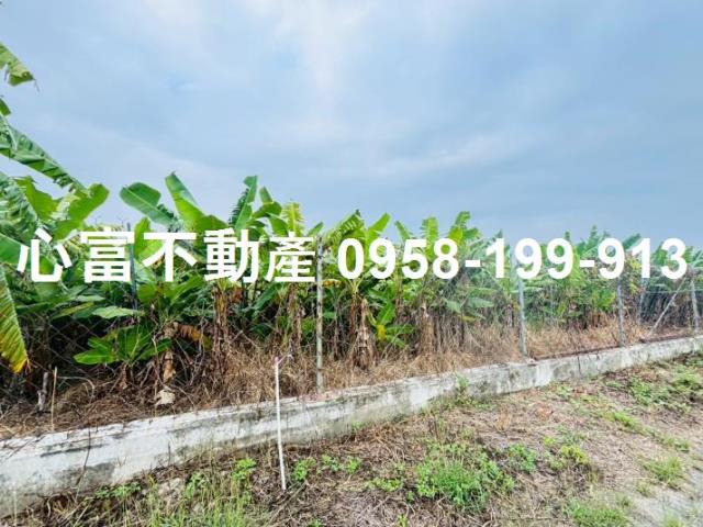 高雄岡山農地-0