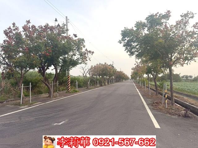 柳科旁6米路方正農地