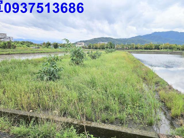 宜蘭縣五結鄉大吉二段農地出售