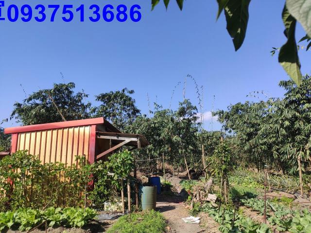 宜蘭縣三星鄉長埤湖段農地出售