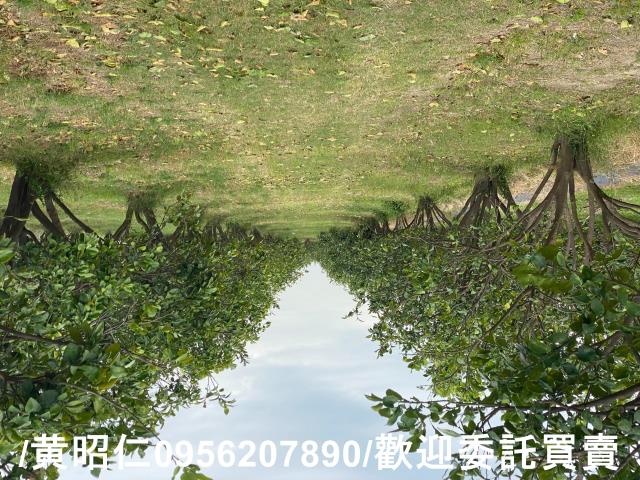 大台南建地工業地農地新化高工旁10米路面美農地