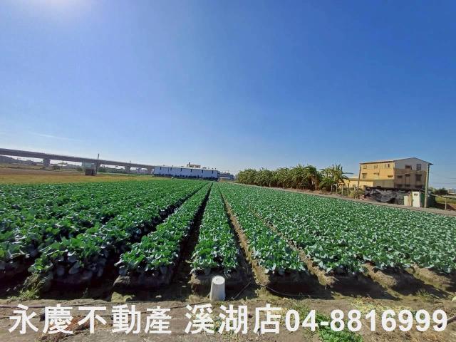 彰化埔鹽農地-11