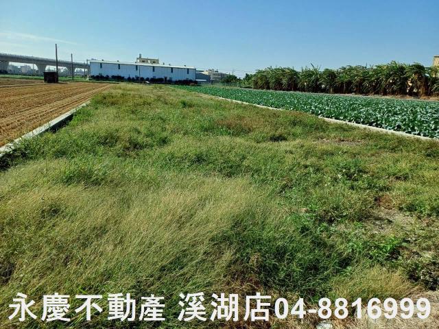 彰化埔鹽農地-2
