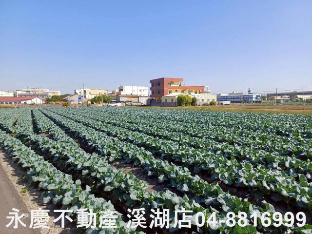 彰化埔鹽農地-7