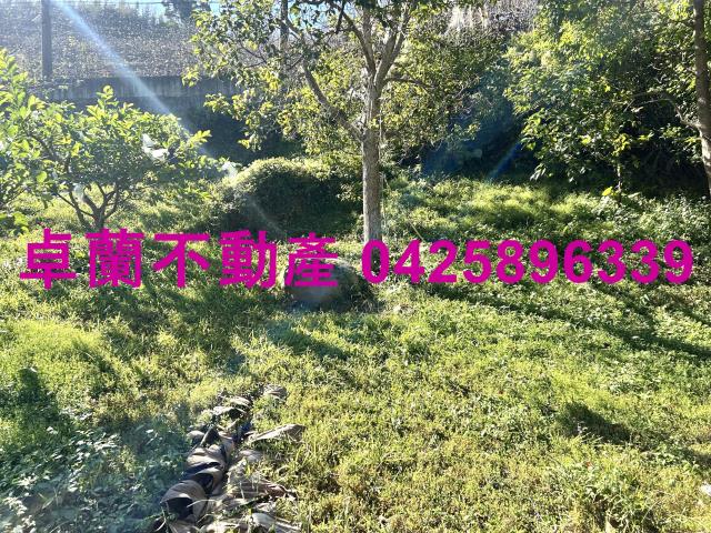 卓蘭農地-3