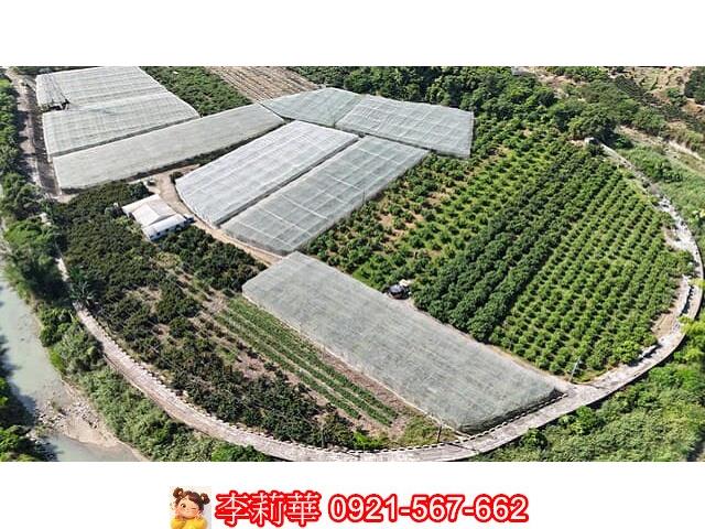 歸仁漂亮方正農地