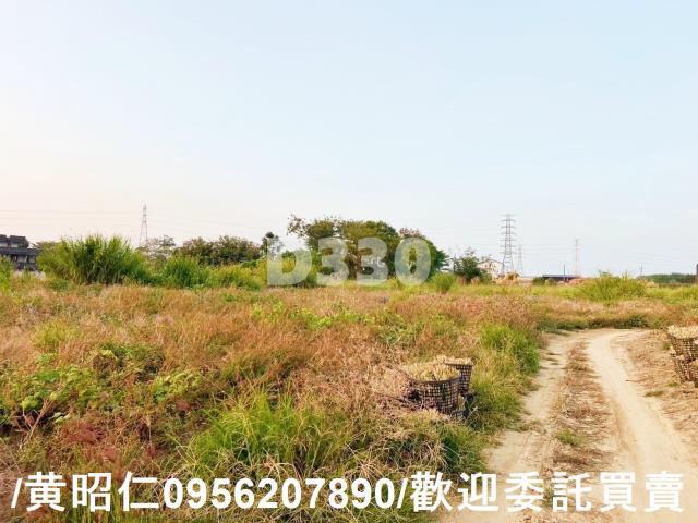 關廟農地-2