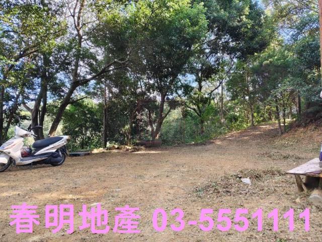 新竹關西農地-1