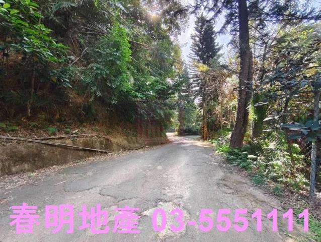 新竹關西農地-6