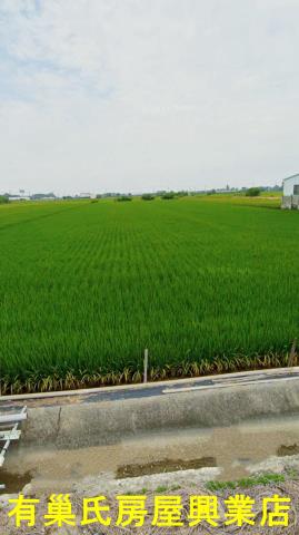 嘉義鹿草農地-2