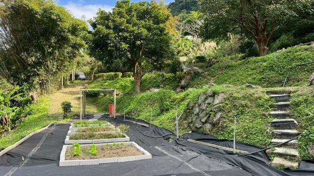 新竹橫山農地-10