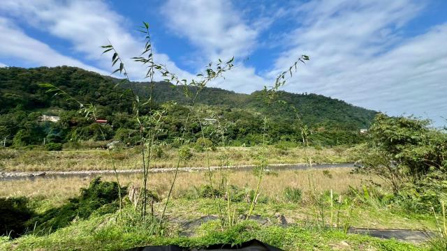 新竹橫山農地-12