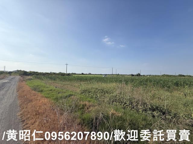 台南永康農地-4