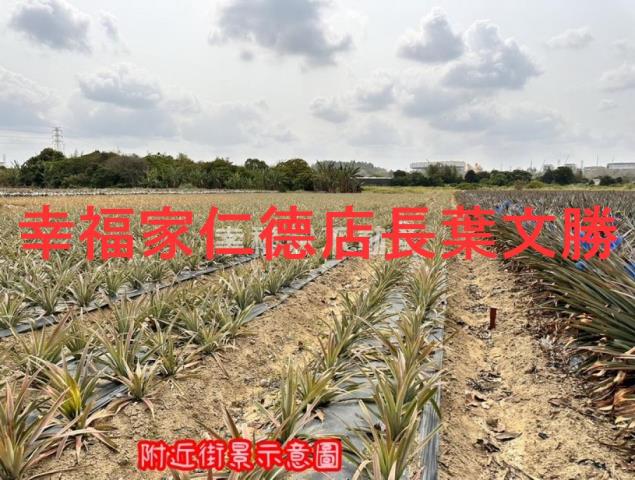 台南山上農地-13