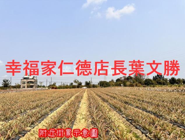 台南山上農地-8