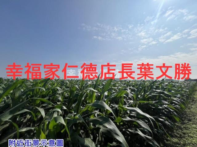 台南佳里農地-9