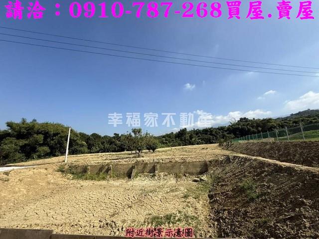 台南藝術大學旁芒果園