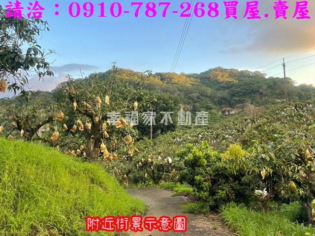 台南玉井農地-8