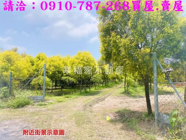 台南六甲農地-9