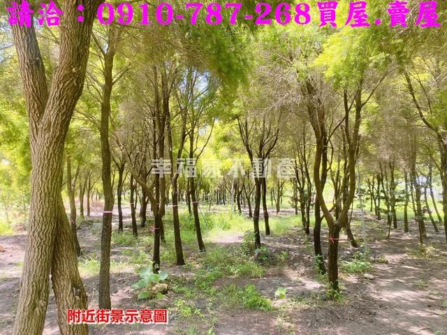 台南六甲農地-3