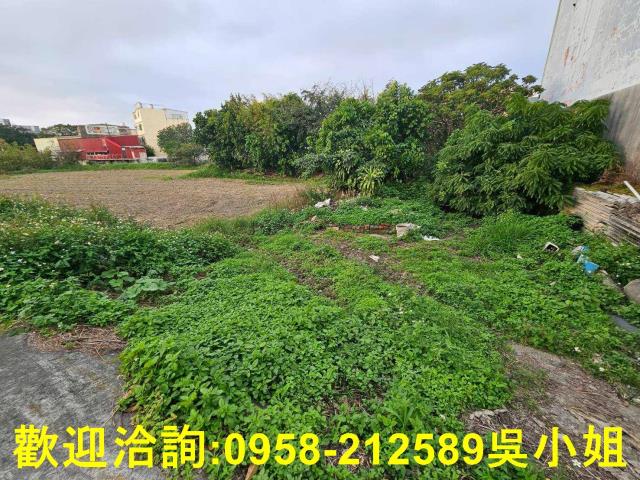 新竹湖口農地-5