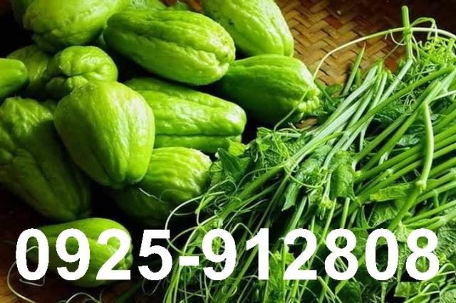 高雄橋頭農地-0