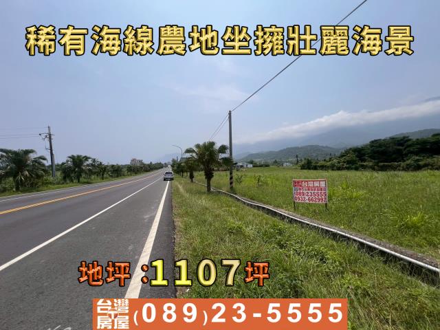 成功農地-7