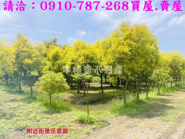 嘉義建地農地台灣房屋湖子內特許加盟店富鑫團隊呂昆佩阿魯米