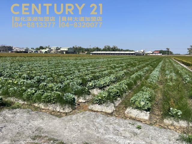 彰化溪湖埔鹽埤頭二林秀水福興建地工業用地田地農地店面透天別墅
