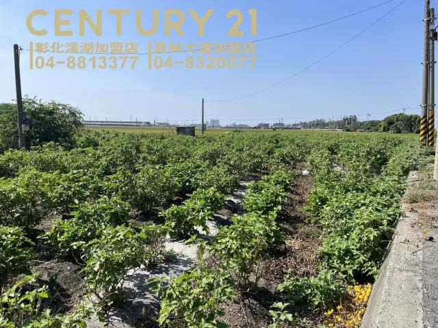 彰化農地-0