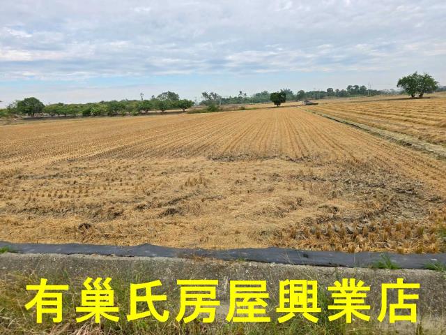 台南農地-5