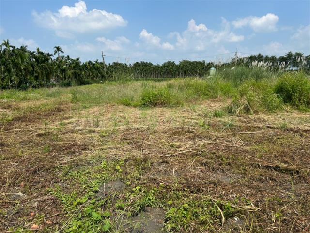 內埔休閒小農地