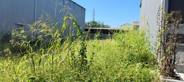 高雄燕巢農地-1