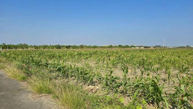 關廟臨路2分美農地