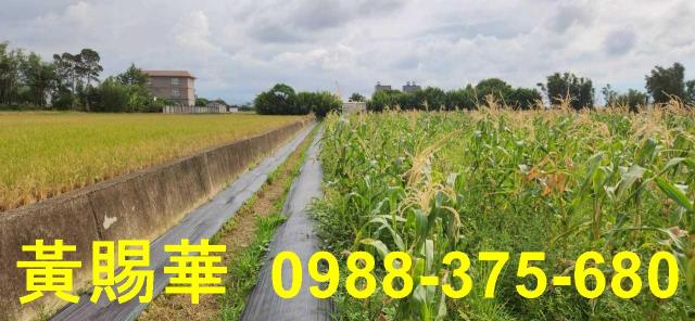 新竹湖口農地-2