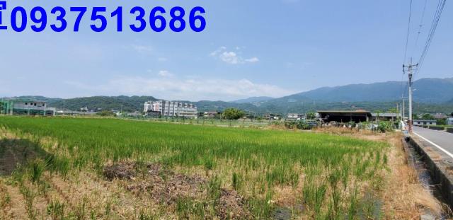 宜蘭礁溪農地-9