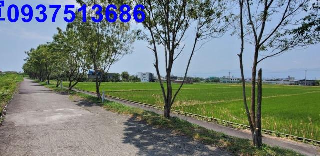 宜蘭礁溪農地-2