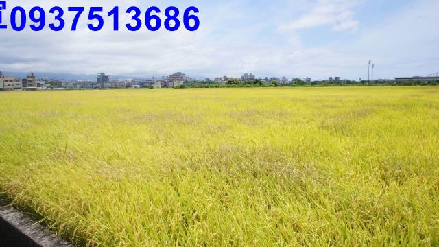 宜蘭宜蘭市農地-2