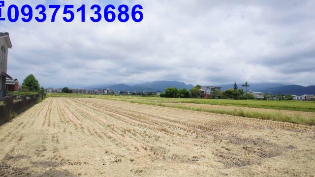 宜蘭宜蘭市農地-4