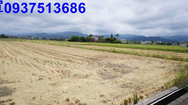 宜蘭縣宜蘭市珍珠段農地出售