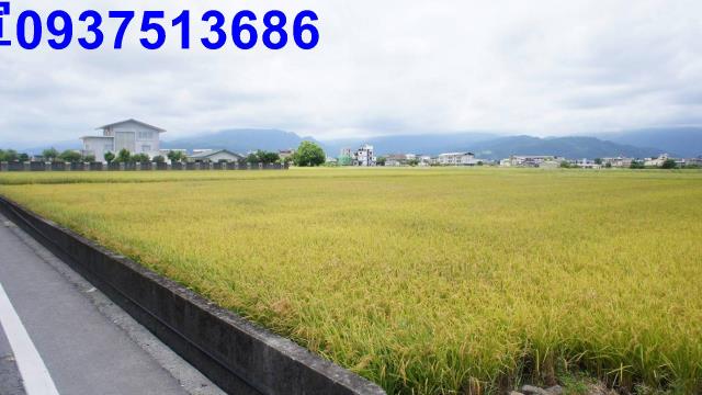 宜蘭宜蘭市農地-8