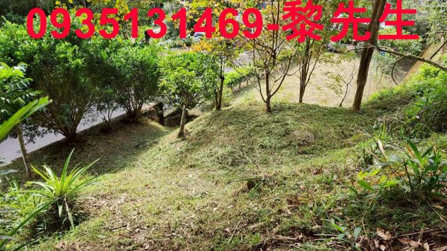 北埔臨6米寬大南坑路有水電農地