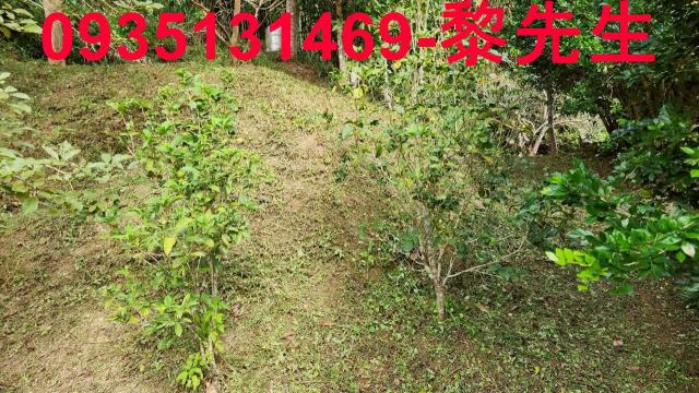 新竹北埔農地-7