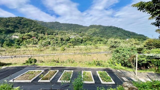 新竹橫山農地-14