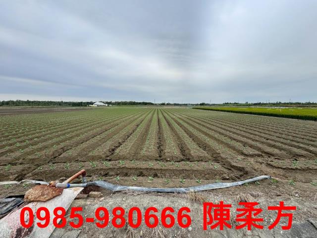 嘉義水上農地-1