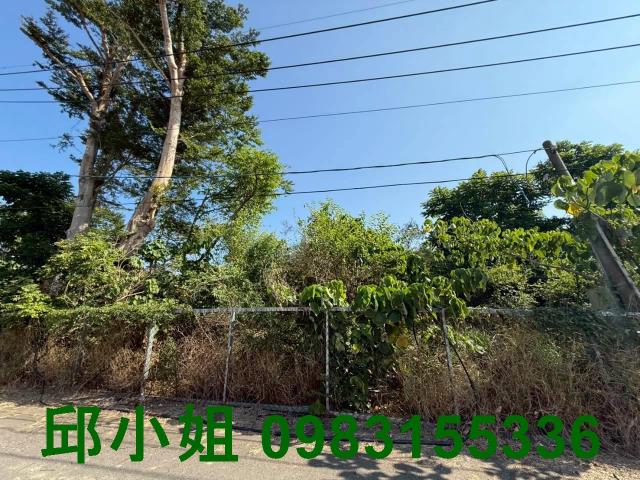 嘉義中埔農地-0