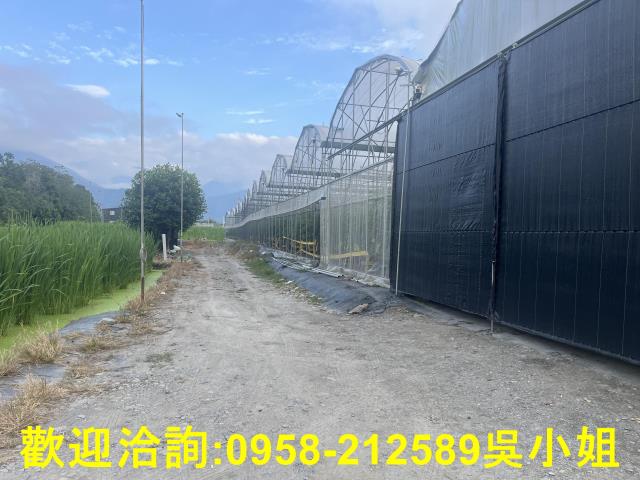 南投埔里農地-6